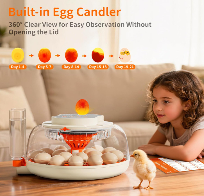 Egg Incubator 18 Eggs Temperature Humidity Control Automatic Turning Incubators