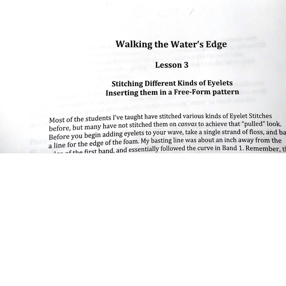 Diane Herrmann Needlepoint Pattern Walking Water’s Edge + RETIRED Class Lessons