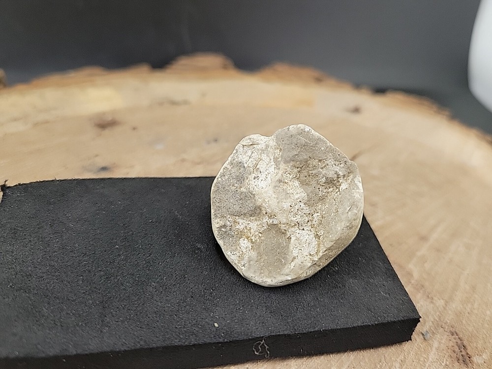 Real Fossilized Dinosaur Half Egg Embro Uv Reactive
