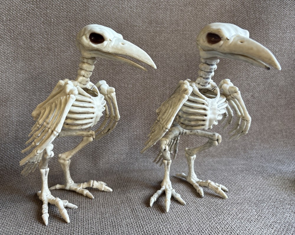 Two Halloween Crow Skeleton Tabletop Bird Bones Decoration
