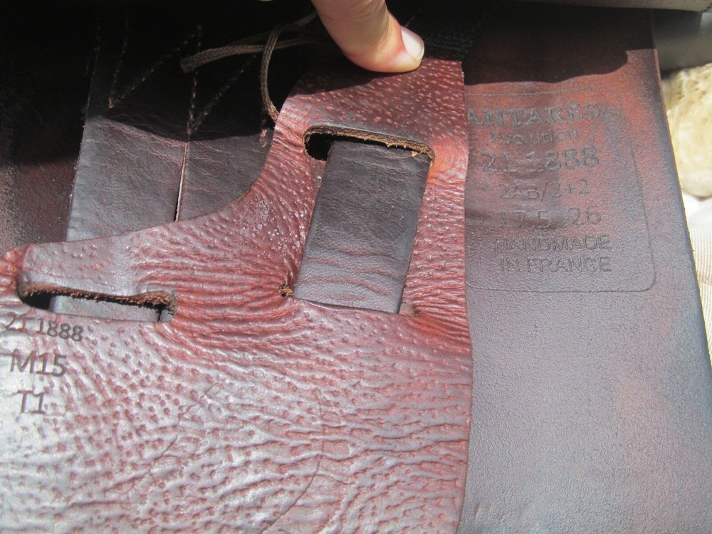 17.5" ANTARES EVOLUTION BUFFALO close contact jumping saddle ( MEDIUM TREE)-2021