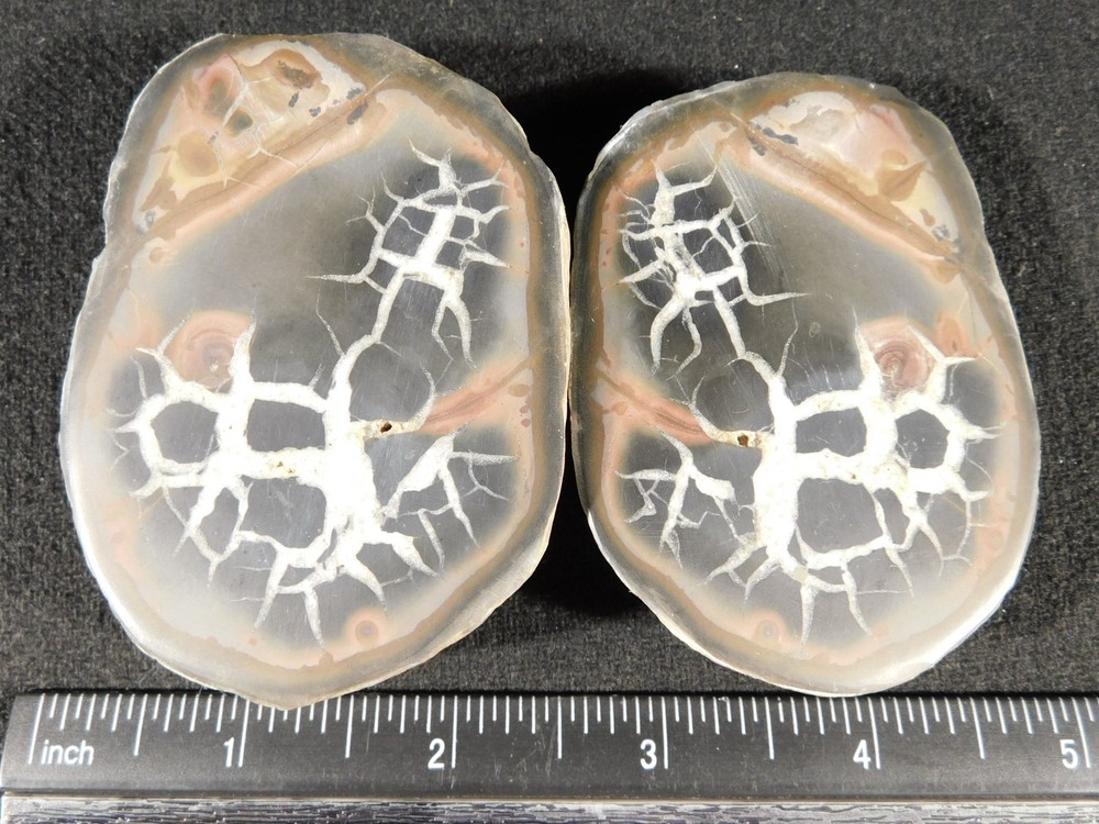 Neat Lighting Like Pattern! Split and Polished SEPTARIAN Nodule Morocco 253gr