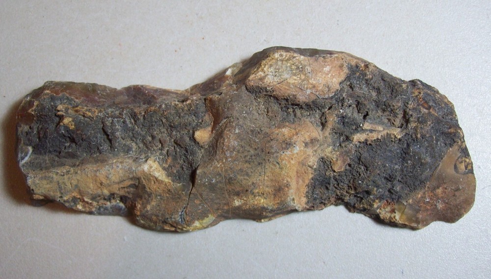Natural Petrified Wood-Rough/Slab/Cab/Wrap-1984