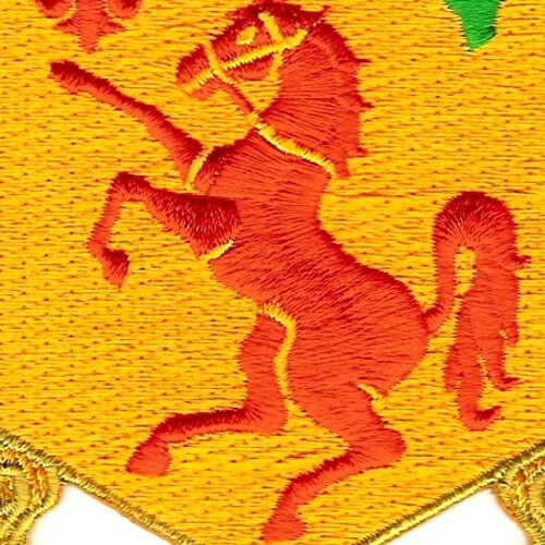 113th Cavalry Regimen Patch
