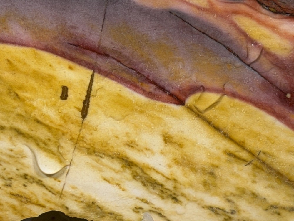 Dendritic Mookiate Jasper Slab, Lot ##315