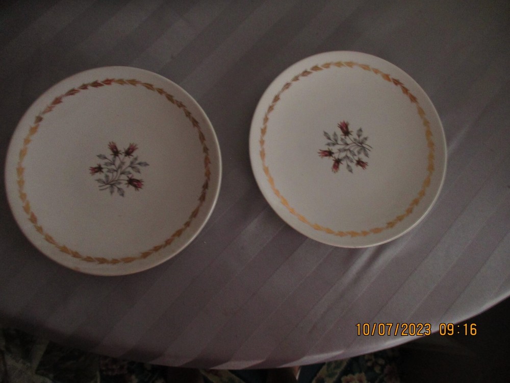 ROYAL WHISPER (2) SMALL DINNER PLATE