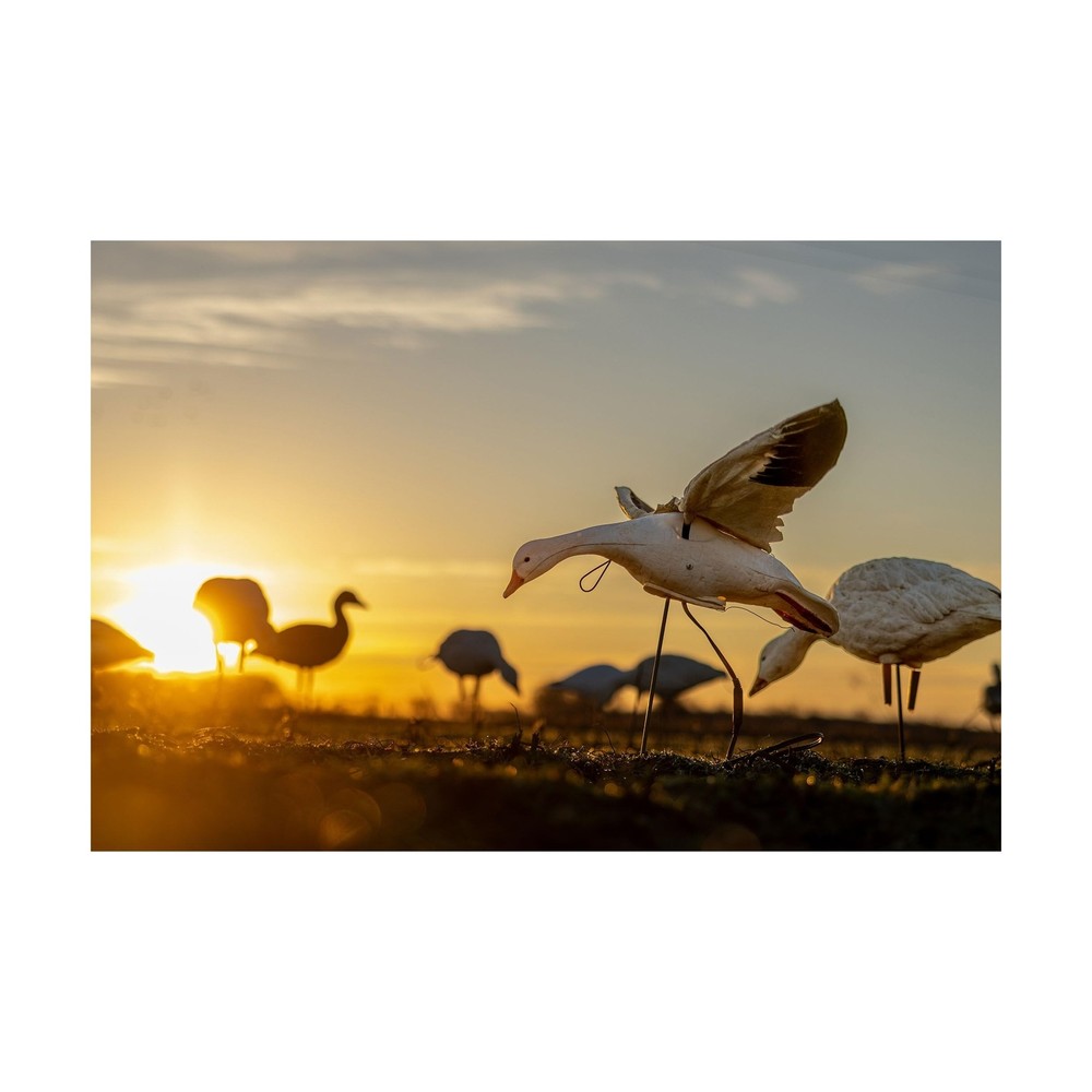 Higdon Outdoors Clone Snow Goose Flapping Motion Decoy with Adjustable Wing S...