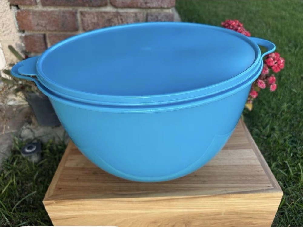 Plastic Mixing Bowl with Lids and Handles - , Blue
