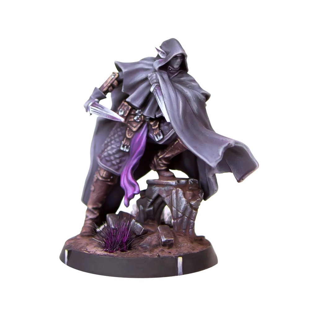 Freecompany: Eldfall Chronicles: Reinforcements Pack: Queen's Blade