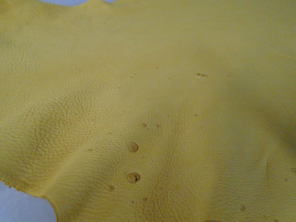 Top Grain Deer Leather #0018317 Row 157