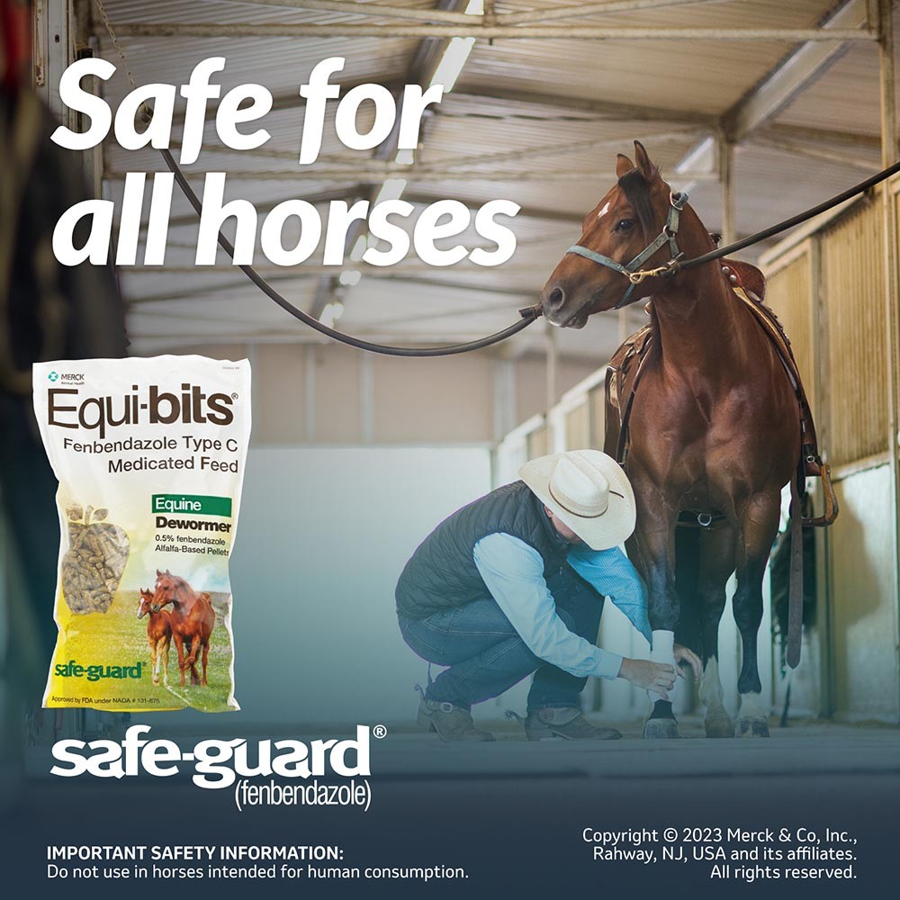 Safe-Guard Equi-Bits 1.25lb