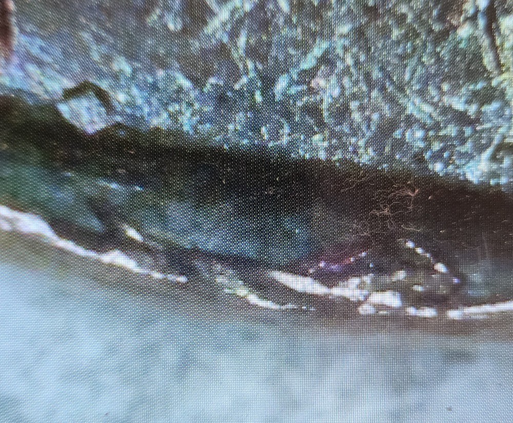 1949 D Planchet Error cent. 🧐🪙 #coin #error #cent