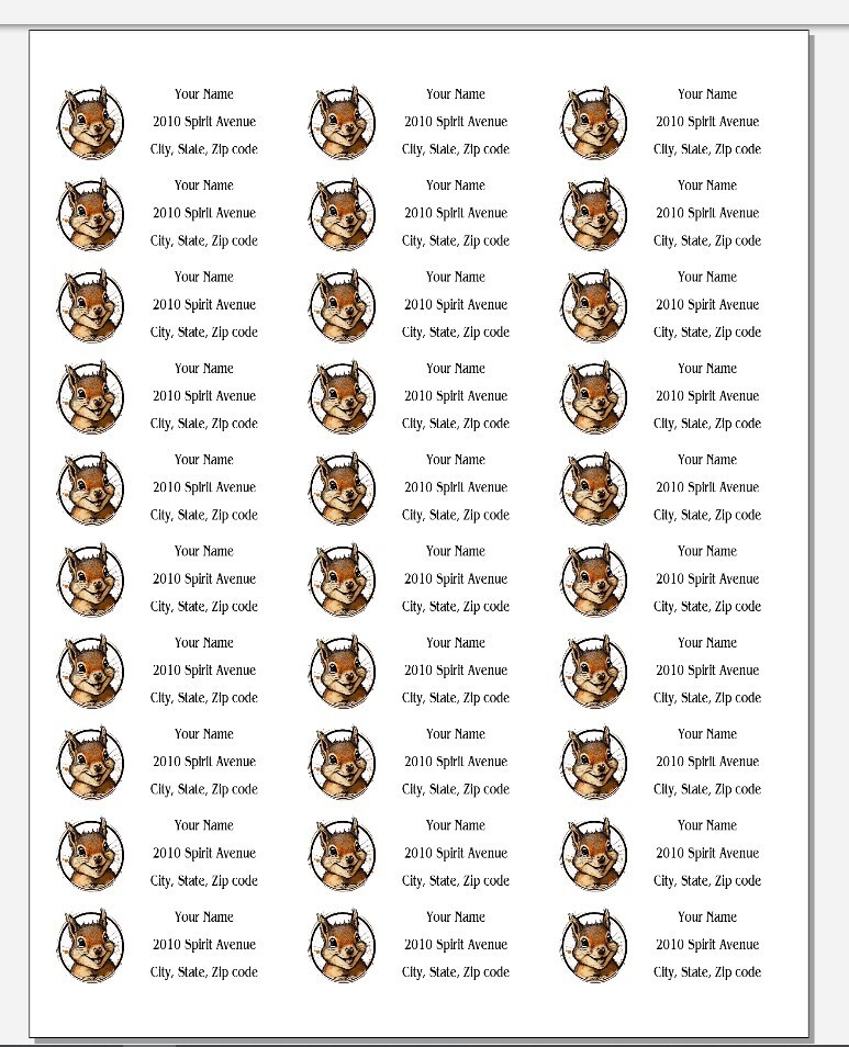 150 Excited Cute Squirrel Happy Mailing Return Address Labels Personalized