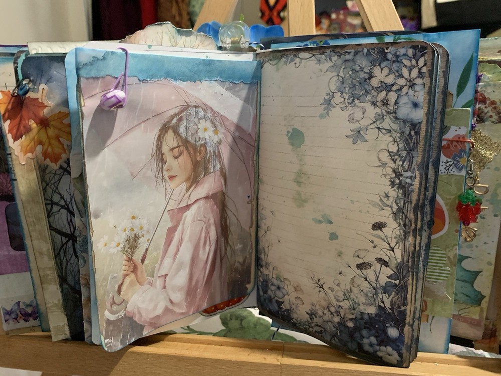 Hidden Castle Mystery Journal