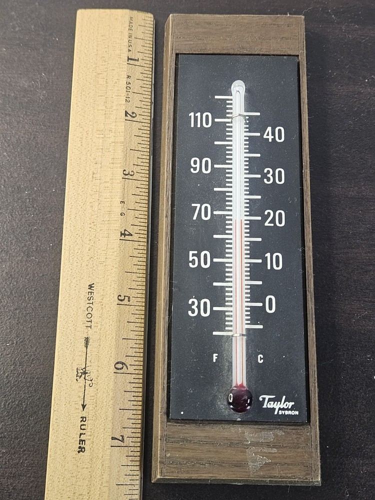 Vintage 60’s Taylor Hanging Thermometer