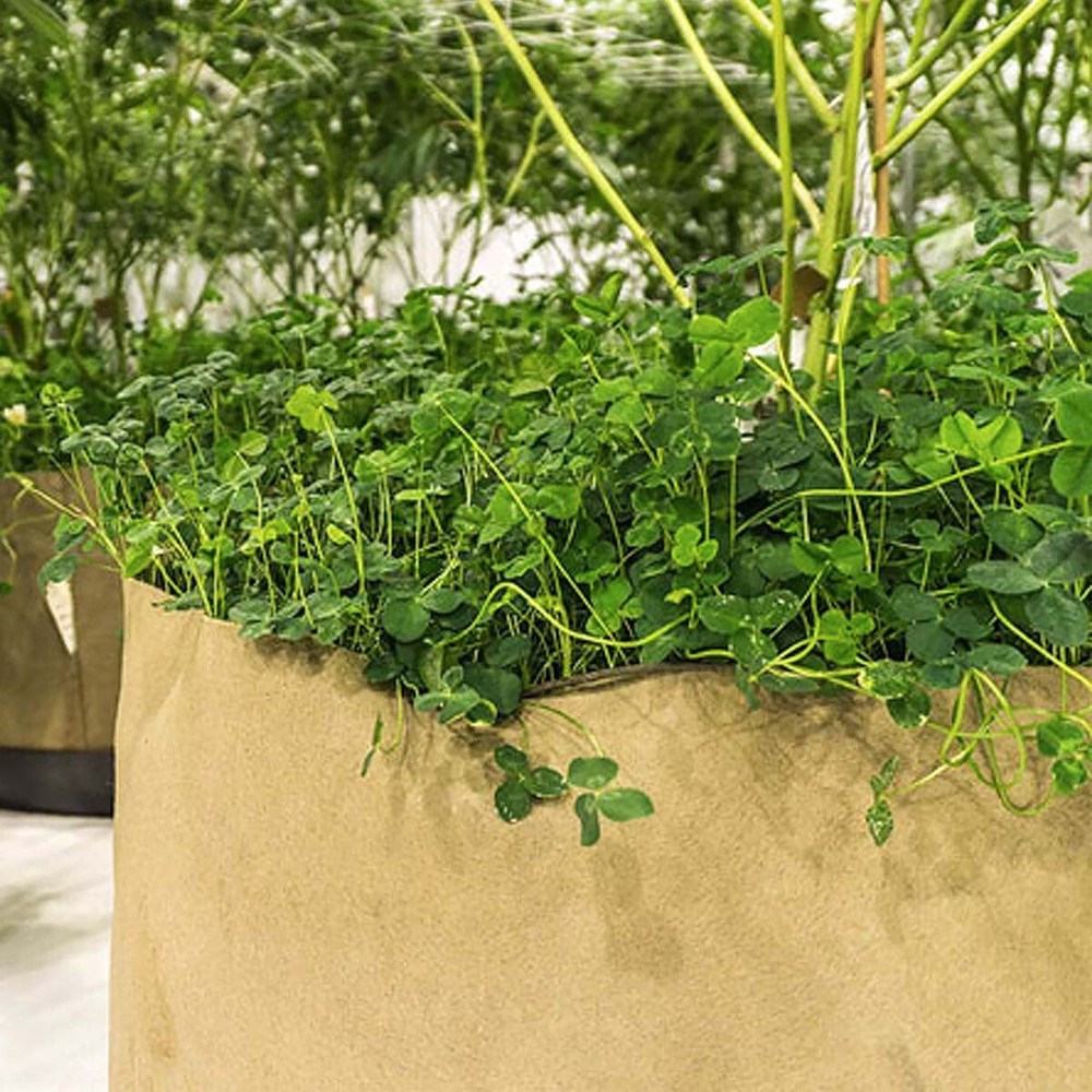 5 Gallon Grassroots Living Soil Pot