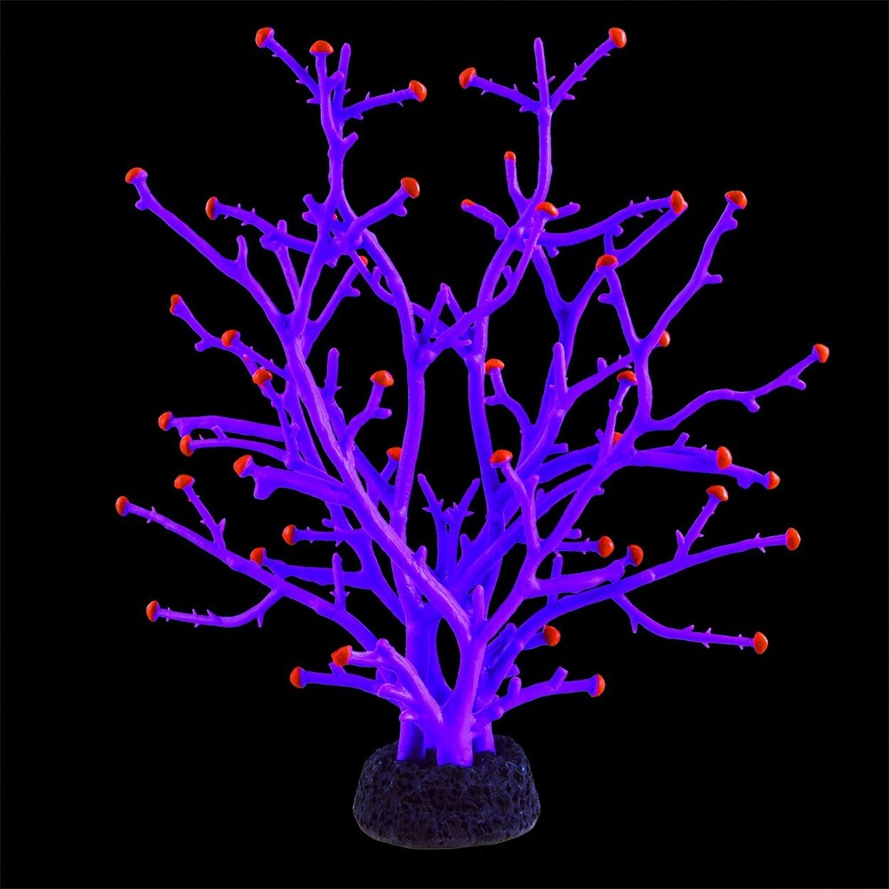 RA Gorgonian - Purple