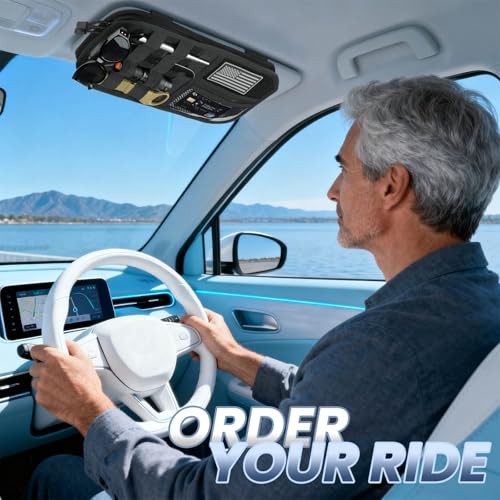 Molle Visor Organizer for Car, 1000D Polyester Tactical Panel Sun Black