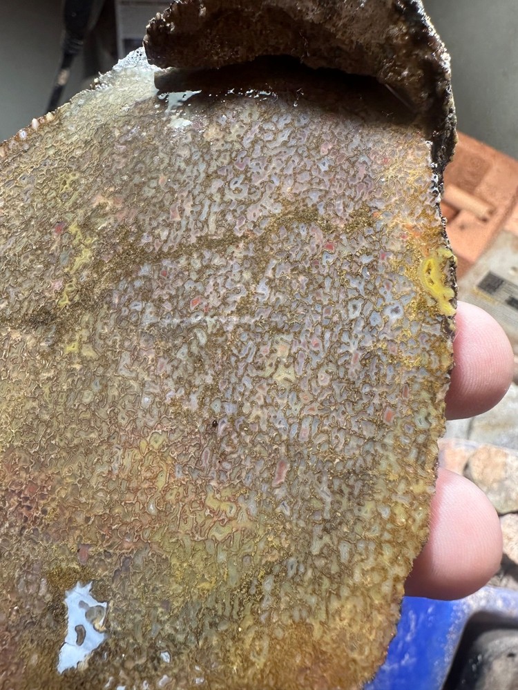 Dinosaur bone rough **hxtled slab.