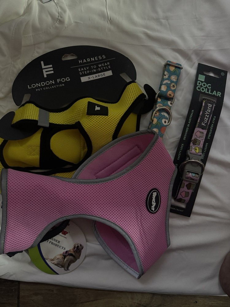 Harness, Collar & Bikini Lot