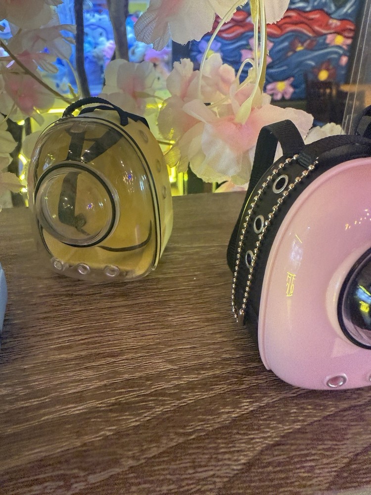 Labubu backpack and a mini figure inside