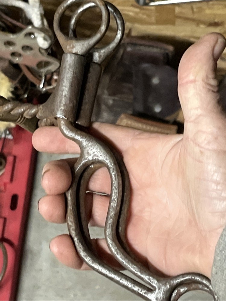Dutton Twisted Sweet Iron . Dogbone