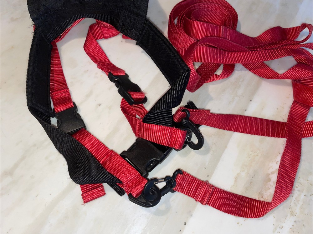Lucky Bums Kids Ski Trainer Leashes & Harness Backpack