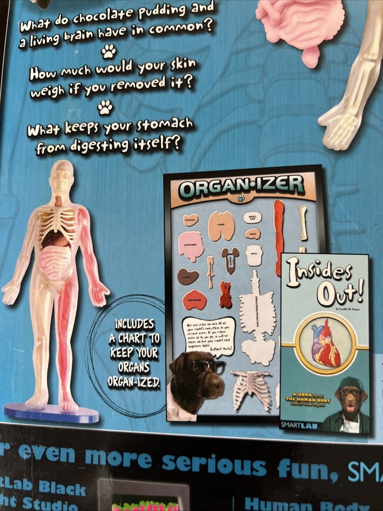 SmartLab You Explore It HUMAN BODY MODEL, Removable SQUISHY ORGANS, Tools & Book