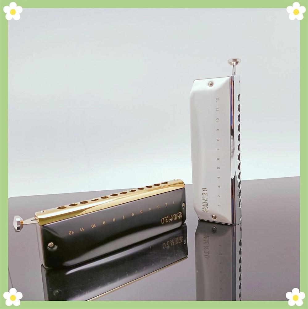 EASTTOP 12Hole Updated Version Chromatic Harmonica Key C Mouth Organ Harmonica
