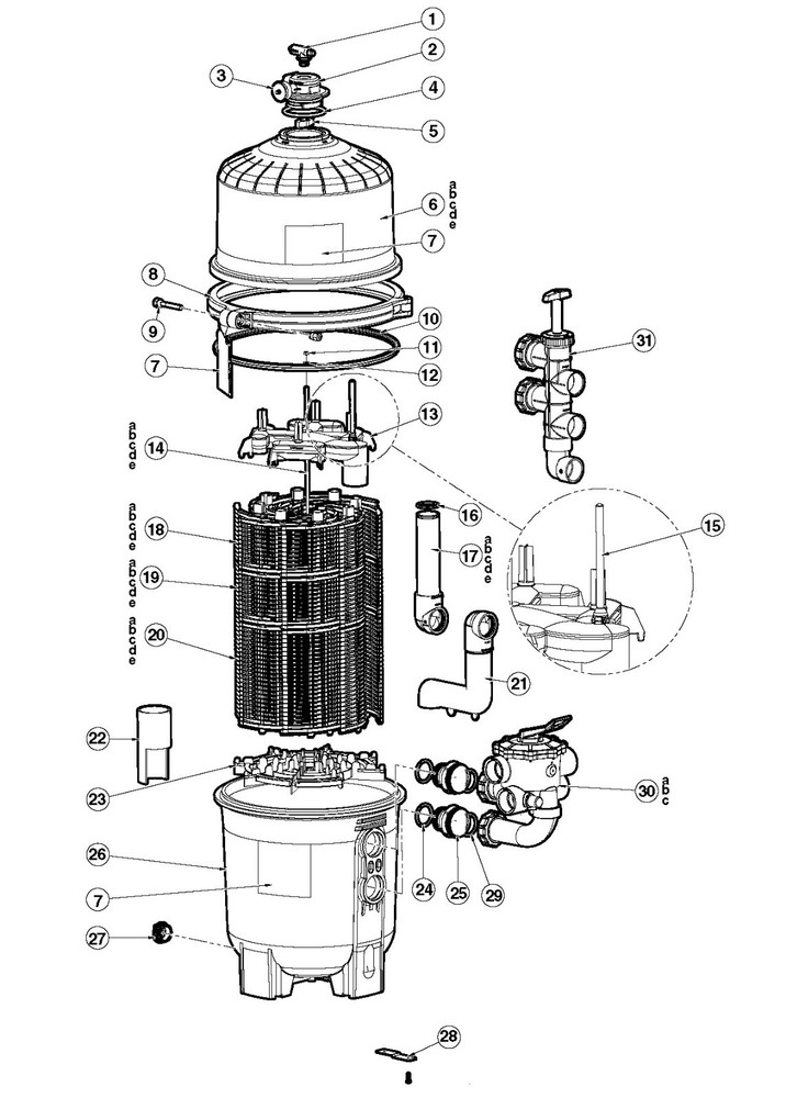 OEM Hayward ProGrid and MicroClear DEX2400C Filter Top Manifold Replacement