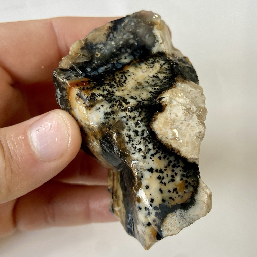 Natural Dendritic Opal Stunning Rough Stone 7.67 Oz!