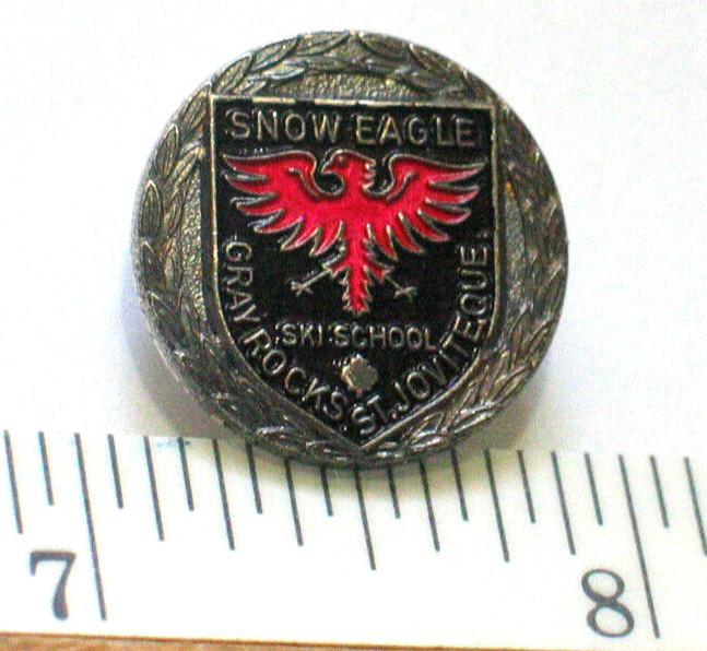 Snow Eagle Grey Rock Ski Pin