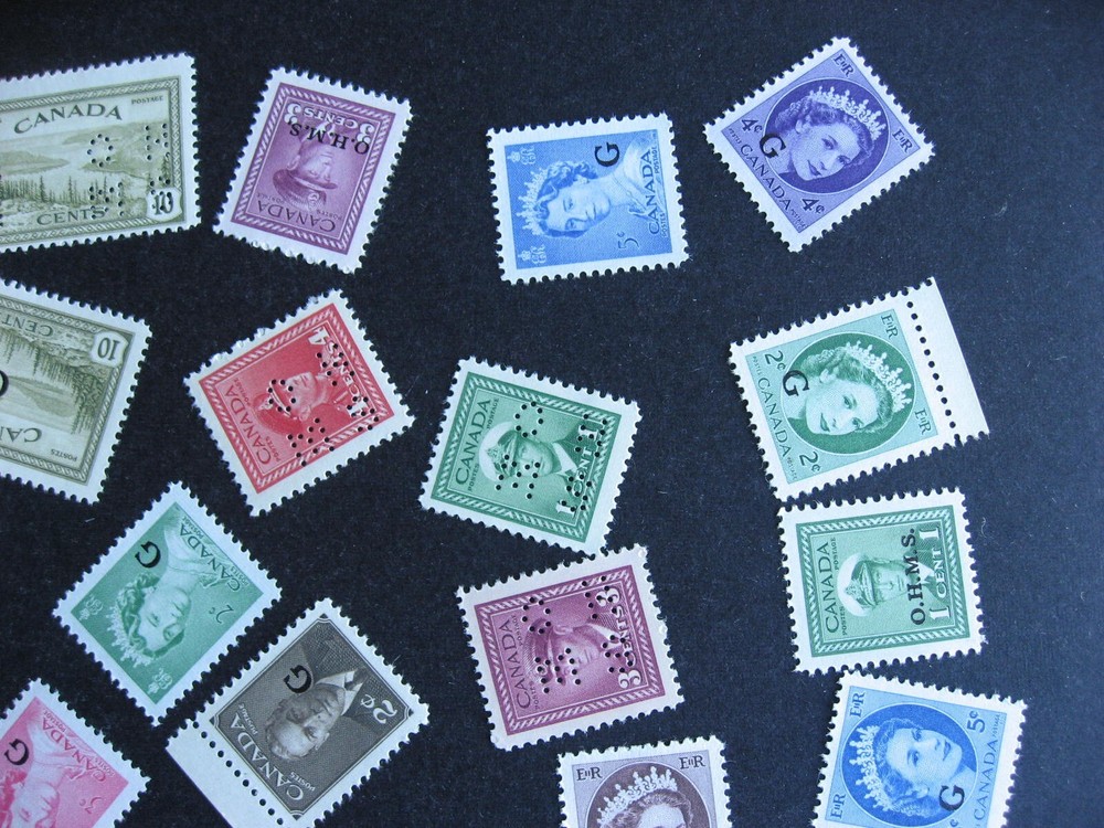 Canada officials 38 different MNH check them out!