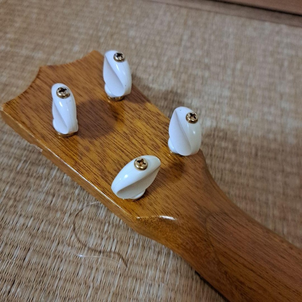 Ukulele Famous FS-5 with hard case