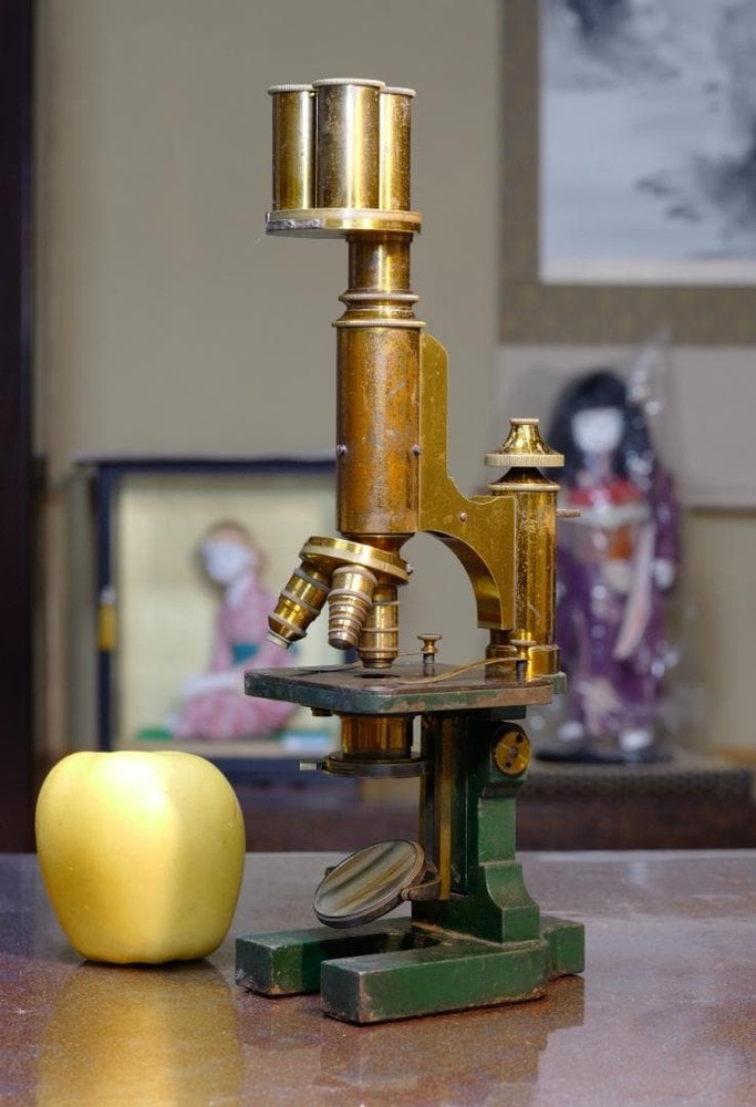 microscope antique E. mester's bacterial microscope