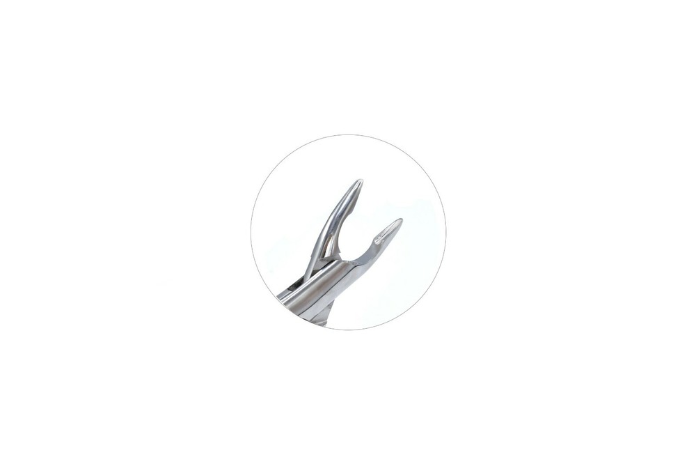 Tooth Extraction Forceps #213 Dental Instruments