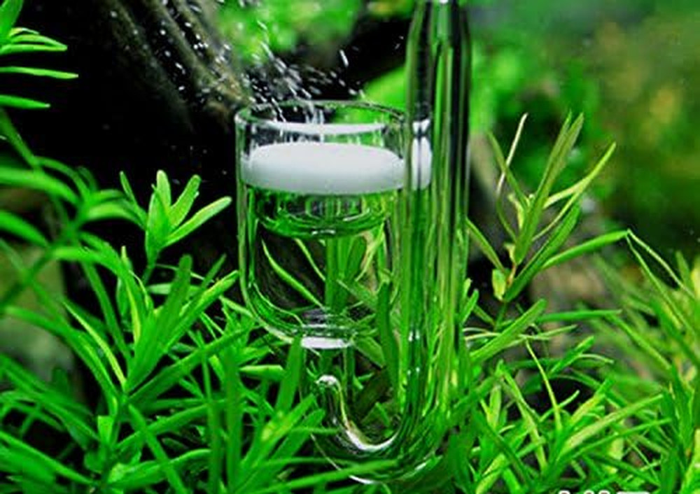 CO2 Diffuser Glass Reactor for Aquarium Planted Tank (CO2 Diffuser)