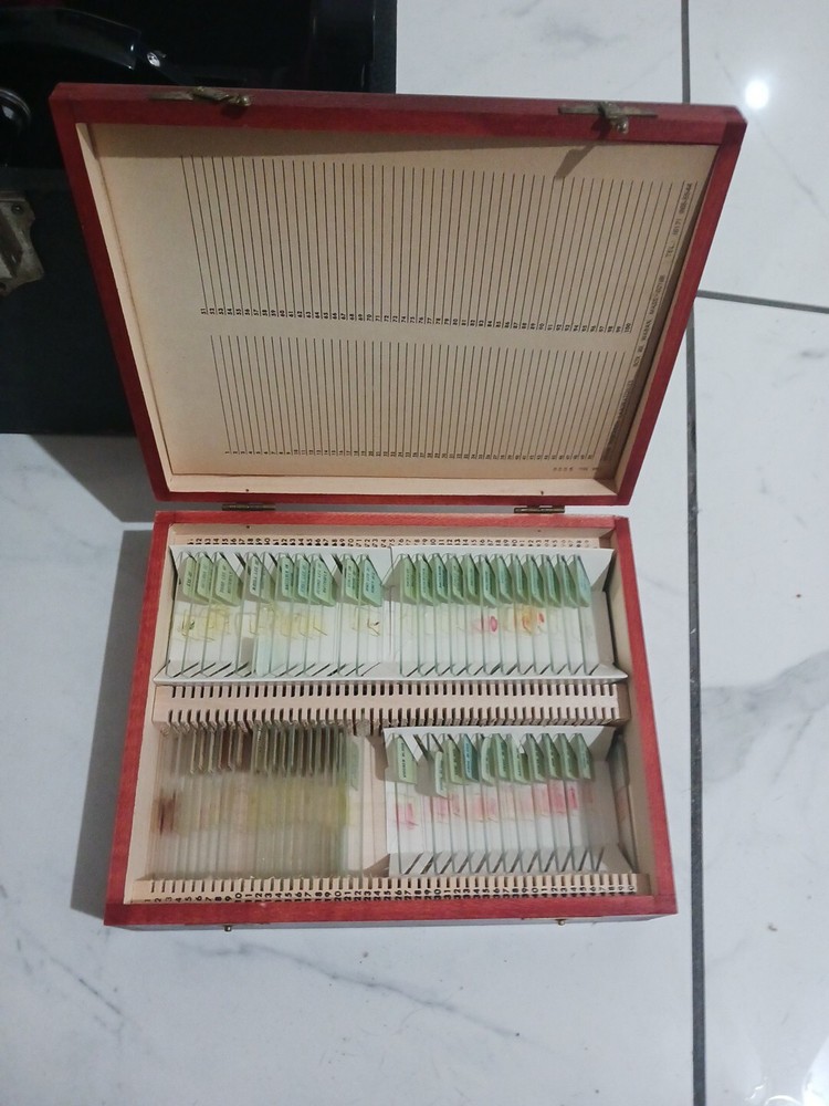 Vintage 1938 E. Leith Microscope Complete