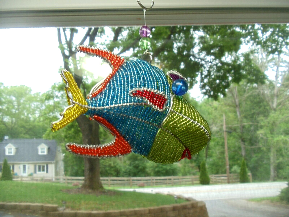 Beaded sea: Bumber Fish