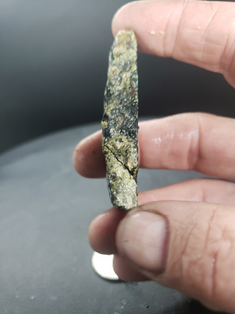 Nevada Saguaro Variscite Slab
