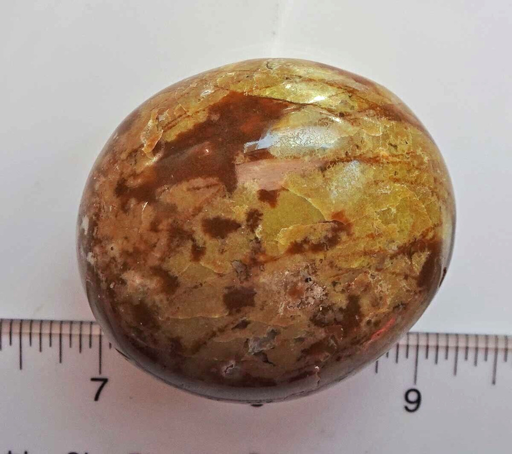 Multi-colored Opal Palmstone - Madagascar sc748i
