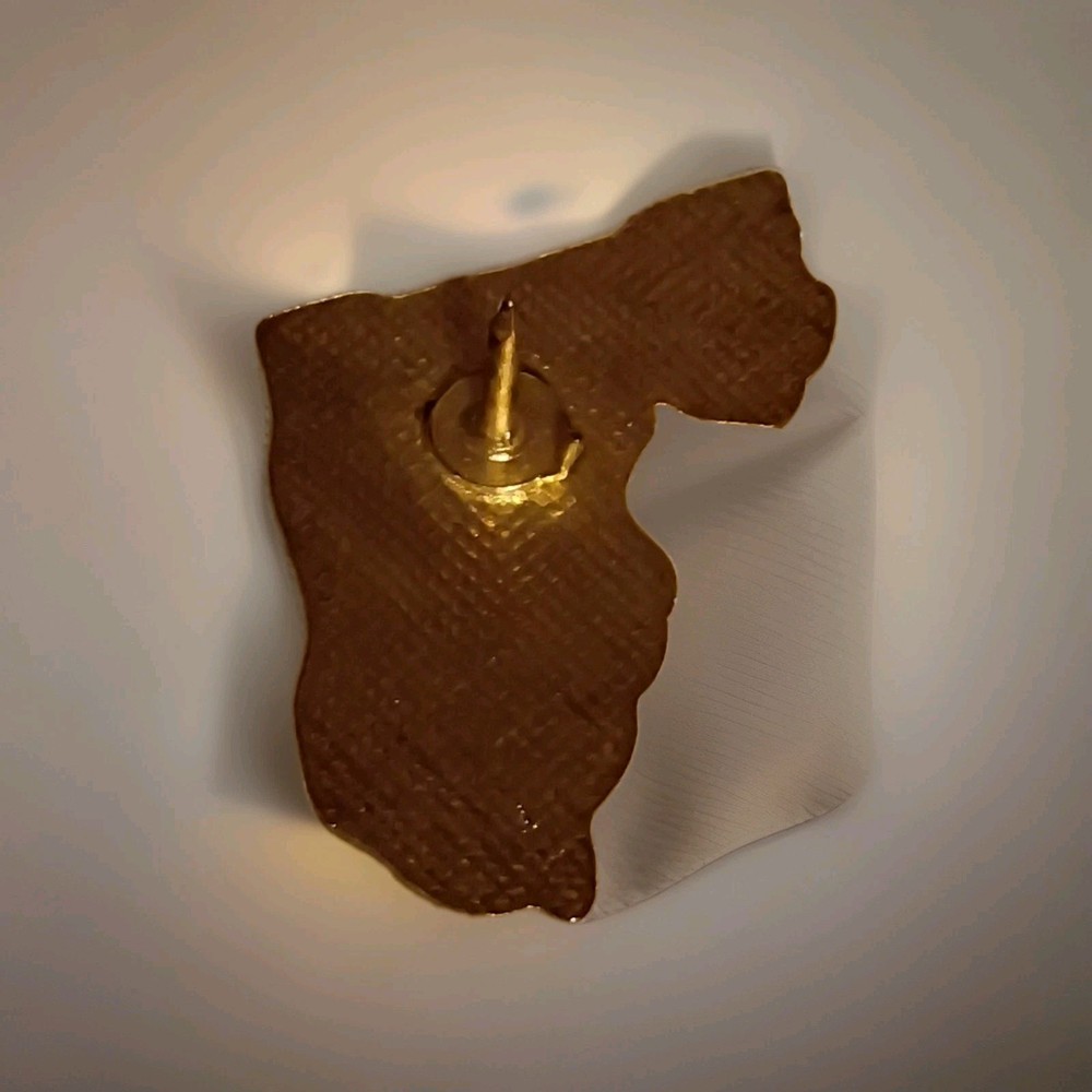 Vintage Florida State Shaped Lapel Pin Back