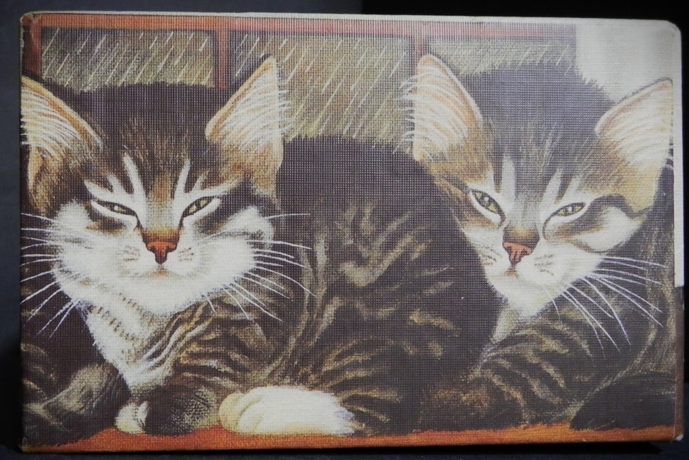 Bob's Boxes Tissue Box Cover Rainy Window Cats Kittens pre-owned