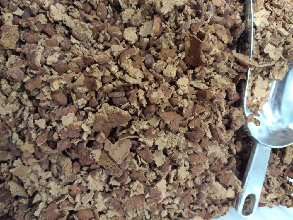  Pinto beans dehydrated survival emergency 3 lbs crypto accepted