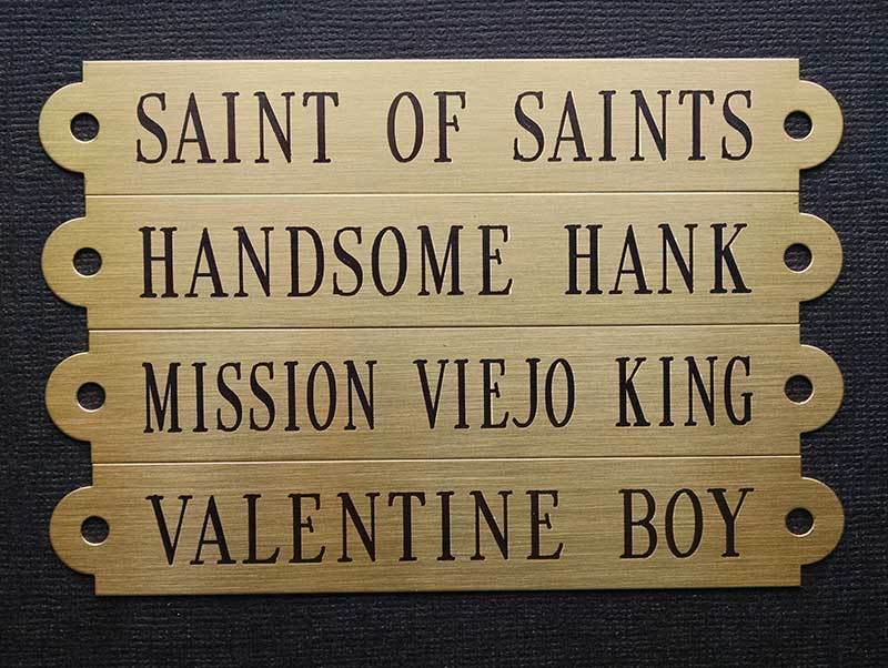HALTER PLATE XLARGE Solid Brass Custom Engraved Horse ID Name Tag .032"