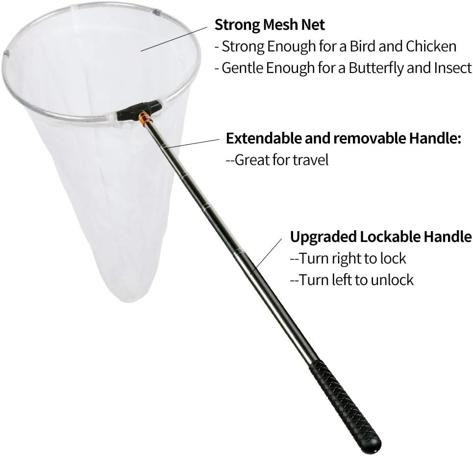 12" Butterfly Net with 24" Depth, Extendable Handle to 59", Foldable, Multicolor