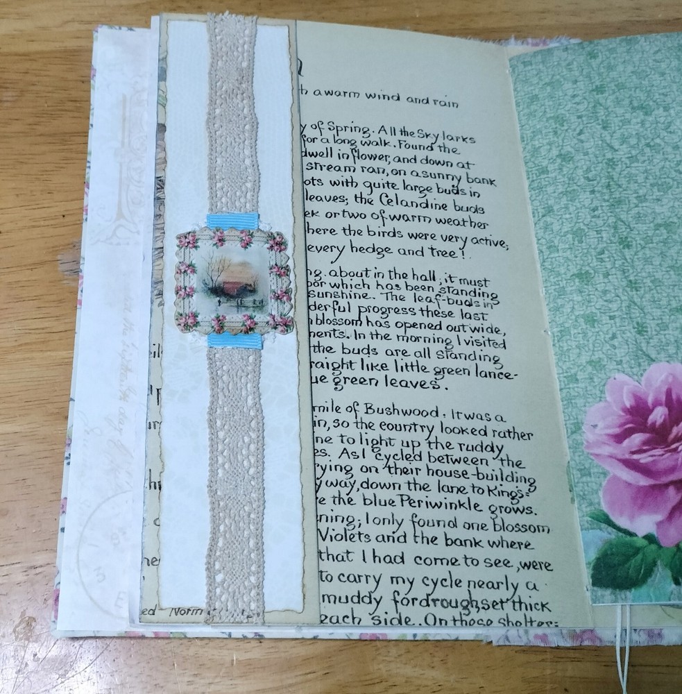 Sweet Spring Journal