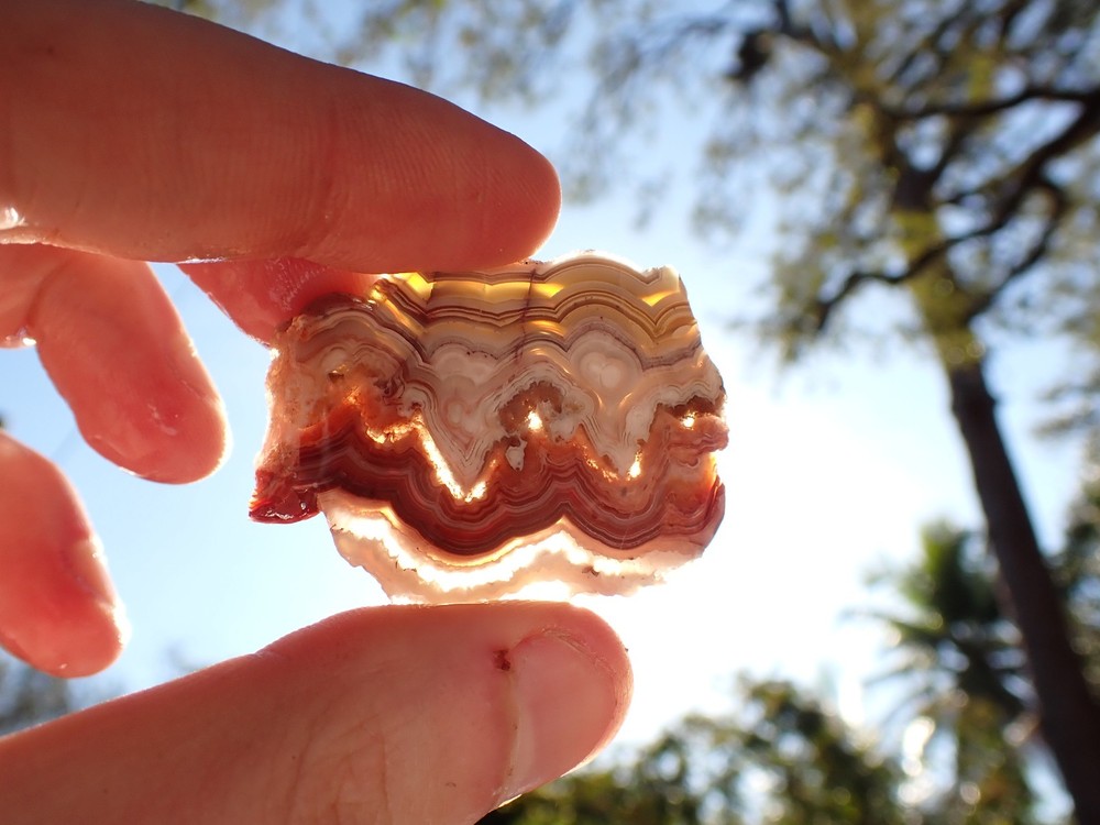 Laguna lace agate slab 14.6g