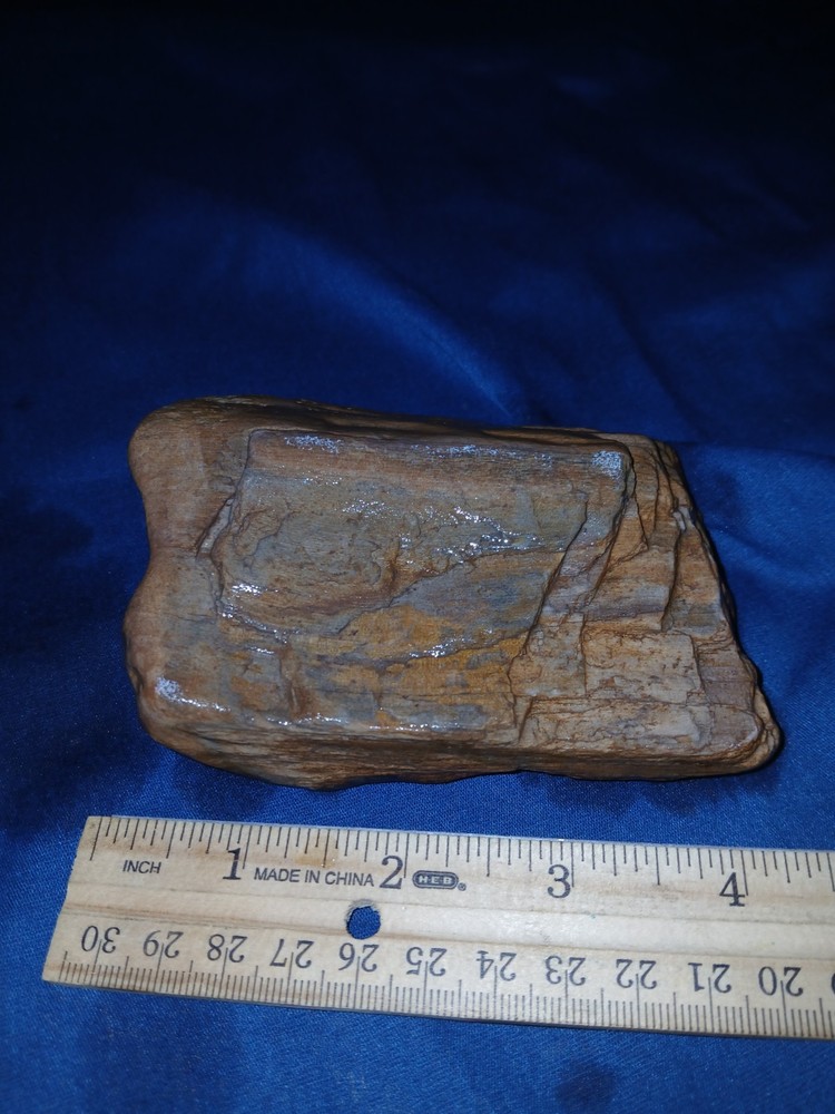 12 oz Petrified Wood