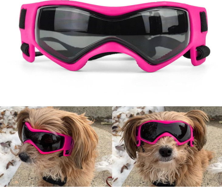 PLeso Dog Goggles Medium Breed, Dog Sunglasses, Size Medium